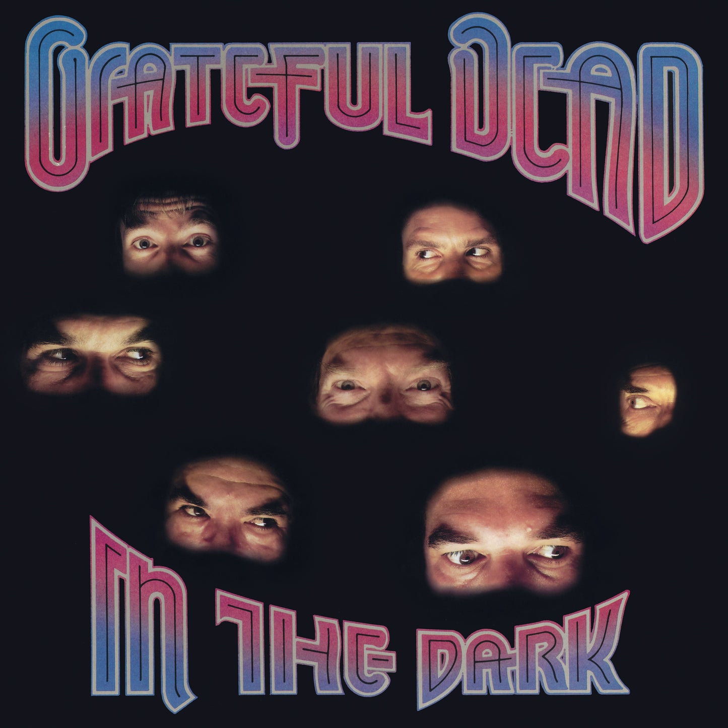 Grateful Dead In the Dark | Vinyl