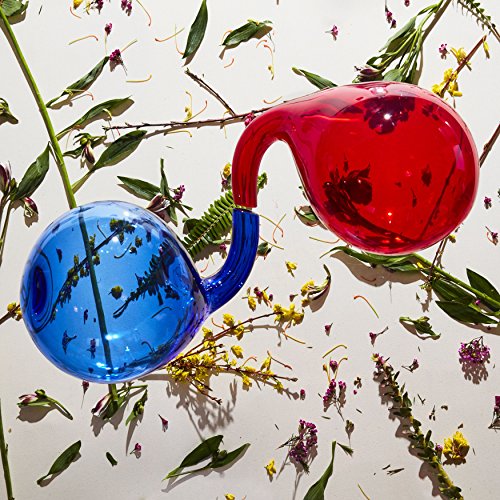 Dirty Projectors Lamp Lit Prose | CD