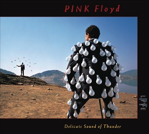 Pink Floyd DELICATE SOUND OF THUNDER (LIVE) | CD